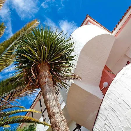 La Galea San Agustín